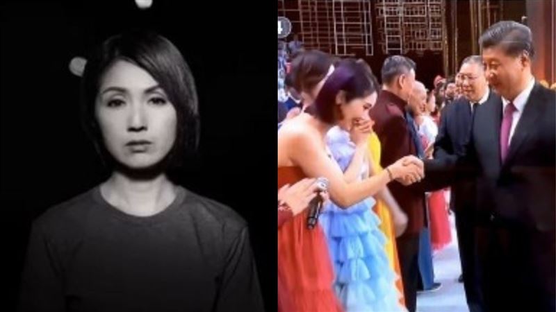 疑挺港被罵爆！楊千嬅低胸拜見習近平