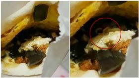 訂熱壓吐司…他見「數十隻白蛆爬滿內餡」崩潰：我咬兩口了（圖／翻攝自爆料公社）