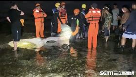 海巡署東部分署第一三岸巡隊