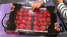 草莓,好市多,大湖,品質(翻攝自Costco好市多 商品經驗老實說)
