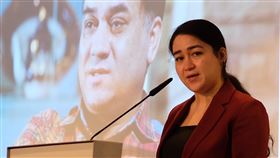 菊爾．伊力哈木參加歐洲議會座談會維吾爾學者伊力哈木‧土赫提的女兒菊爾．伊力哈木（Jewher Ilham）20日參加歐洲議會舉辦的座談會。中央社記者林育立柏林攝  108年12月23日