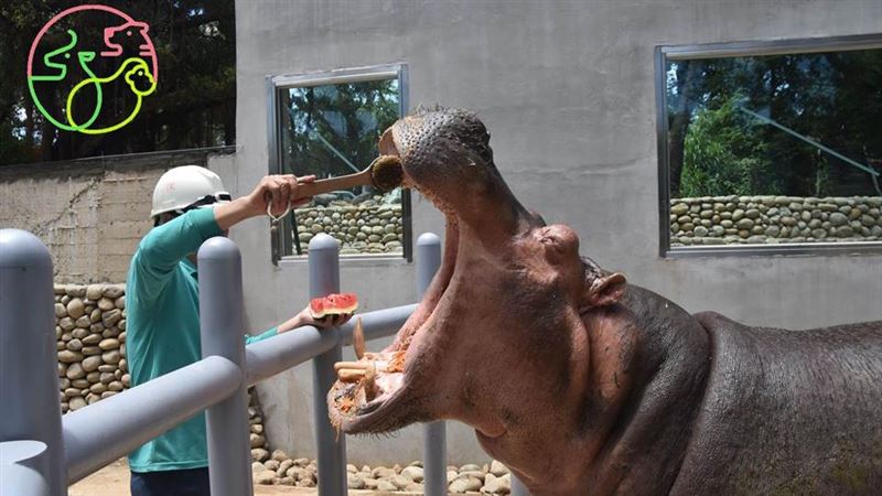 新竹動物園28日開幕　兒童老人免費