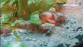 旗津知名蚵仔煎！遭控碗外活蟲亂爬