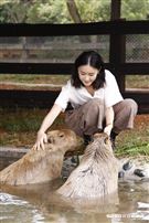 鍾瑶擔任埔心牧場「水豚君入村記者會」活動大使（圖／記者林聖凱攝影）