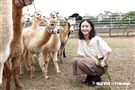 鍾瑶擔任埔心牧場「水豚君入村記者會」活動大使（圖／記者林聖凱攝影）