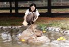 鍾瑶擔任埔心牧場「水豚君入村記者會」活動大使（圖／記者林聖凱攝影）
