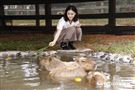 鍾瑶擔任埔心牧場「水豚君入村記者會」活動大使（圖／記者林聖凱攝影）