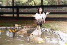 鍾瑶擔任埔心牧場「水豚君入村記者會」活動大使（圖／記者林聖凱攝影）