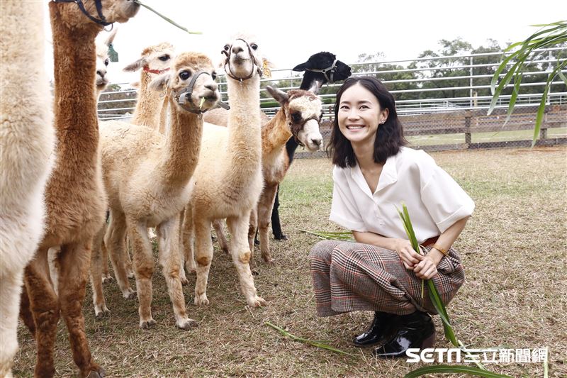 鍾瑶擔任埔心牧場「水豚君入村記者會」活動大使（圖／記者林聖凱攝影）