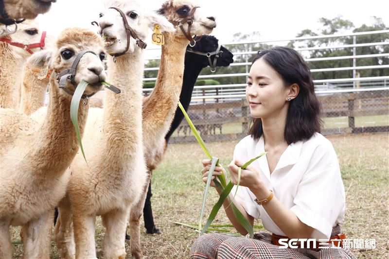 鍾瑶擔任埔心牧場「水豚君入村記者會」活動大使（圖／記者林聖凱攝影）