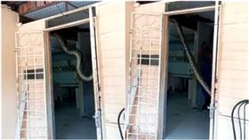 他回家開門！見「巨蟒」吊樑上盪鞦韆（翻攝自臉書）