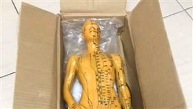 聖誕節,交換禮物,人體穴位模型,坐骨神經痛,穴道(圖/翻攝自爆廢公社
