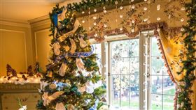 聖誕節，聖誕樹（圖／翻攝自unsplash）