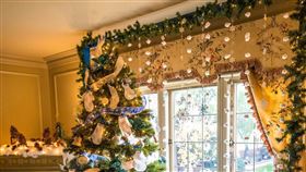 聖誕節，聖誕樹（圖／翻攝自unsplash）