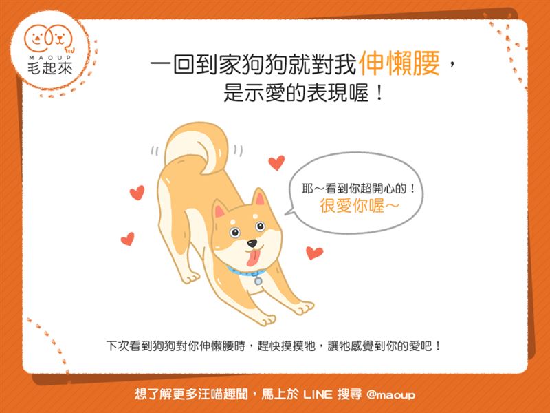 一回家狗狗對我伸懶腰，是什麼意思？