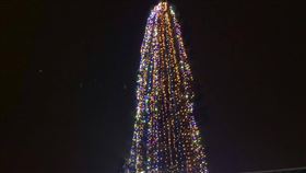 南洋杉化身耶誕樹　點亮通霄小鎮聳立於苗栗縣通霄鎮旗山路底的南洋杉高約23公尺，樹形挺拔壯觀，通宵鎮公所約花新台幣8萬元，動用吊車安裝燈飾、耶誕飾品點綴，晚間亮燈後十分吸睛。（通霄鎮公所提供）中央社記者管瑞平傳真　108年12月24日