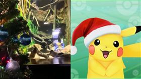 （圖／翻攝自Pokémon GO YouTube；Miguel Wattson TNAQ推特）