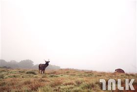 名家專用／旅遊滔客誌（勿用）