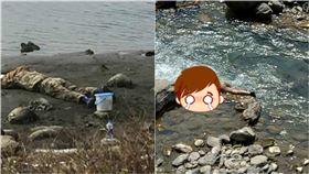 退潮,河邊,拍攝,偽裝,拍鳥,迷彩服,浮屍,誤會,爆怨公社