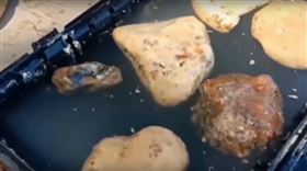 海邊撿怪石賺到！稀有海琥珀得手　3公斤竟值370萬