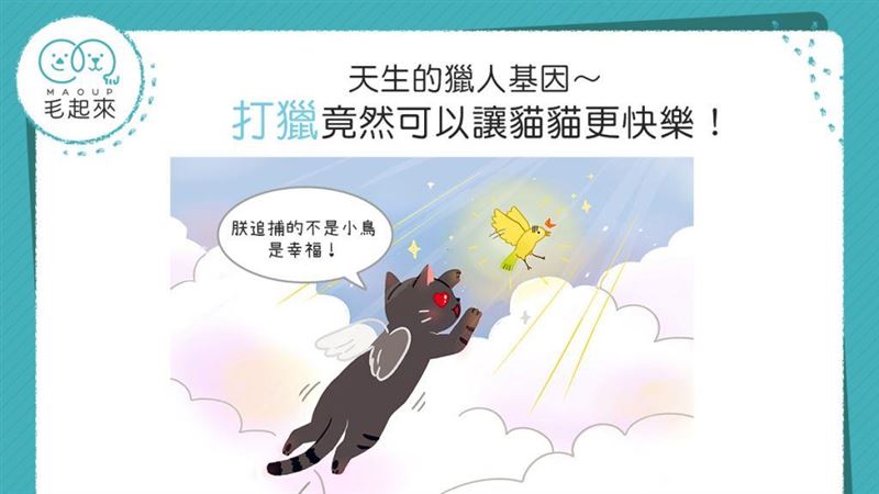 天生的獵人基因　打獵能讓貓貓更快樂