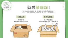 名家專用／毛起來MAOUP（勿用）