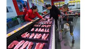 中國,非洲豬瘟,改養殖,雞,無法賺錢(圖/中央社)