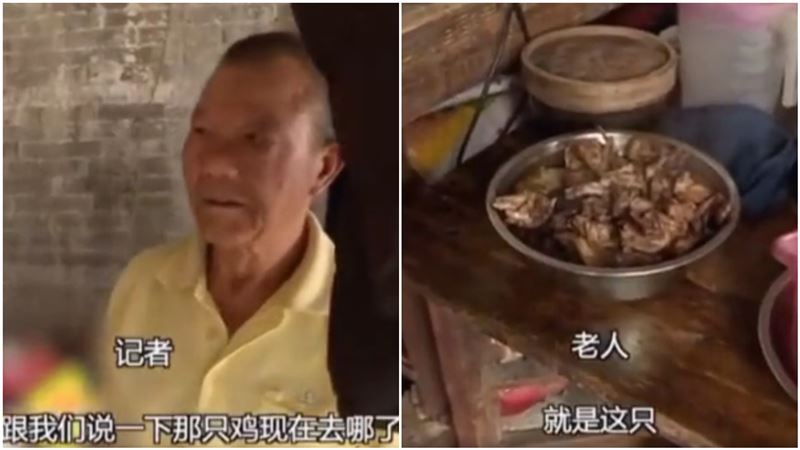 老翁救雞爬井受困！獲救後…開心吃雞
