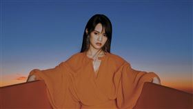 紅白藝能大賞,楊丞琳。圖／台視提供