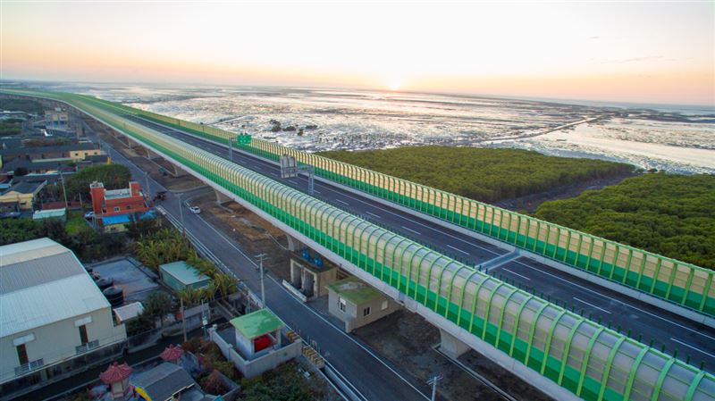 「最美西濱」月底通車減少打擾大杓鷸