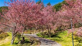 名家專用／台灣旅行趣（勿用）