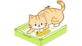 名家專用／毛起來MAOUP（勿用）