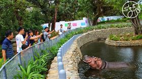 新竹市立動物園提供
