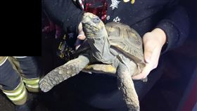 聖誕節當日在英國埃塞克斯（Essex）發生一起離奇火災，下午4時許一處民宅突起火，不久後整棟房屋瞬間陷入一片火海，所幸消防隊及時抵達搶救，才無造成更嚴重損害。事後消防隊進一步調查起火原因，發現兇手竟是一隻「烏龜」！（圖／翻攝自Essex County Fire and Rescue Service臉書）