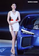 2020世界新車大展南港展覽館熱鬧登場。（記者邱榮吉/攝影）