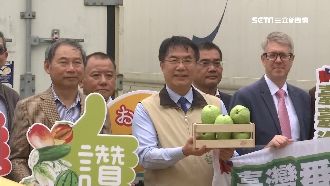 亞洲唯一！台灣芭樂進軍美國市場