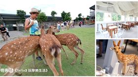 勿用！！！！！！！！！！！！！社群媒體,痞客邦,2019年,竄升字,美食,旅遊,育兒
圖／PIXNET提供