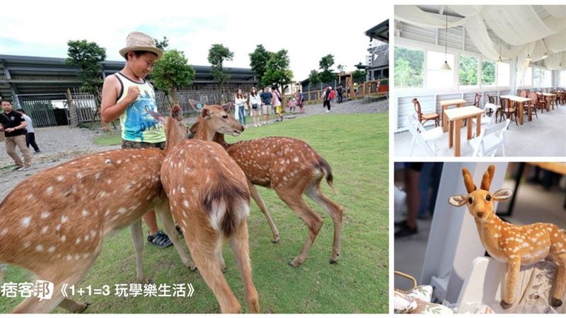 吃喝玩樂大熱門！這6大類竄升字爆紅