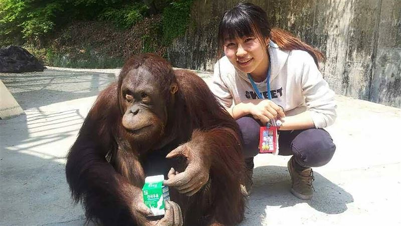 新竹動物園首外國員工　日女見證蛻變