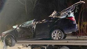 聖誕節,酒駕,車禍,撞樹,閃避,美國,正妹,啦啦隊,出遊,鹿,麋鹿, 圖／翻攝自推特