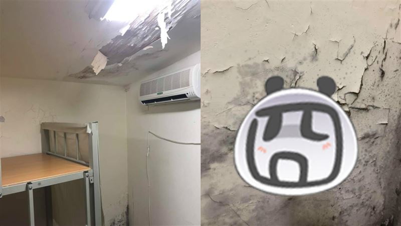 信義區租屋4千　屋況曝光超慘烈