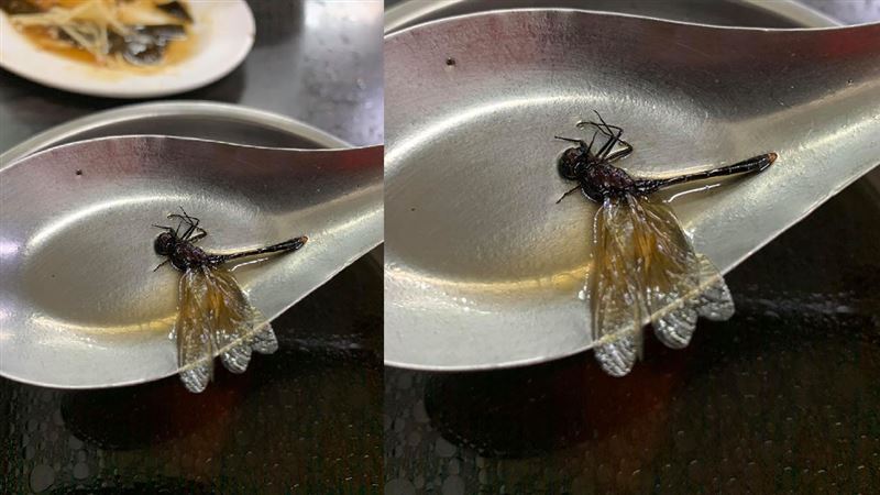 他喝熱湯…一撈驚見「完整死屍」嚇壞