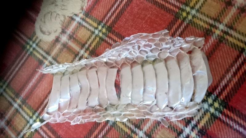 家中驚見「大片蛇脫皮」網喊發大財