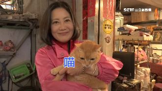 力拚連任！吳思瑤勤耕選區深得民心