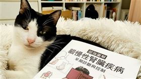 名家專用／寵物滔客誌（勿用）