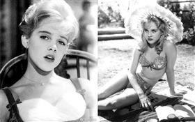 《羅莉塔》（Lolita）的1962年電影《一樹梨花壓海棠》的女主角蘇麗安（Sue Lyon）於美國洛杉磯離世，享壽73歲。微博