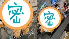 好市多療癒神物又一發！2隻塞爆推車