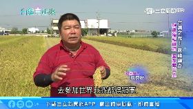 A韓攻蔡中火2400