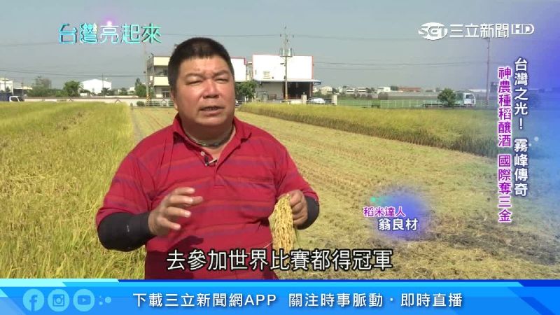 台灣之光霧峰傳奇！神農釀酒奪三金