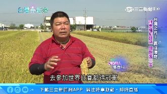 台灣之光霧峰傳奇！神農釀酒奪三金